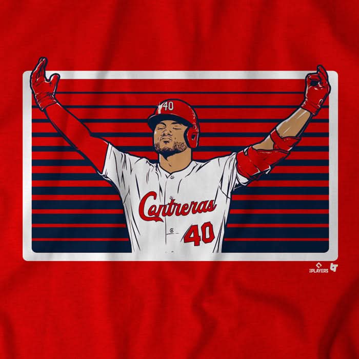 Willson Contreras: Boo Bird